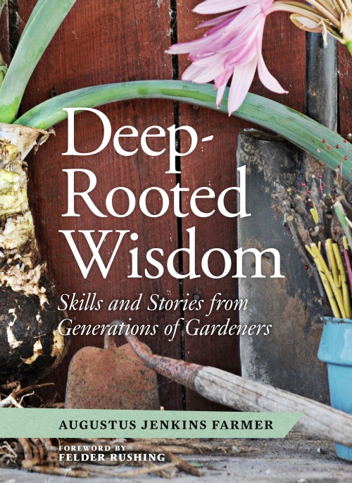 Deep Rooted Wisdom