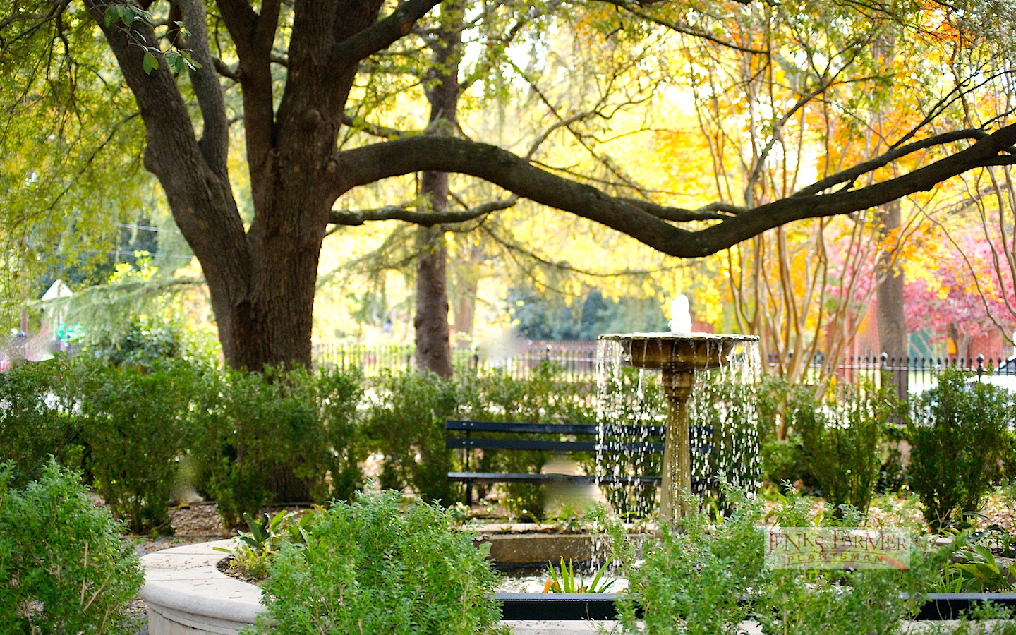 Garden Design with Fountain