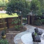 courtyard-renovation-pruned-trees-and-plantings-scaled-1.jpg