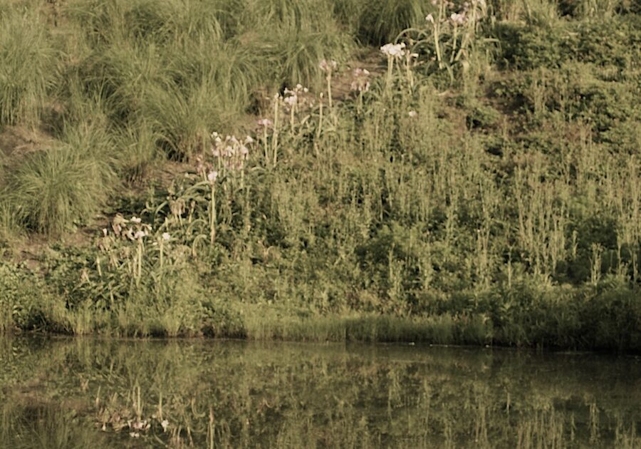 To erosion prone or retention ponds…