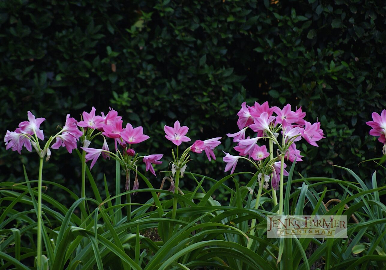 And formal, contemporary gardens…