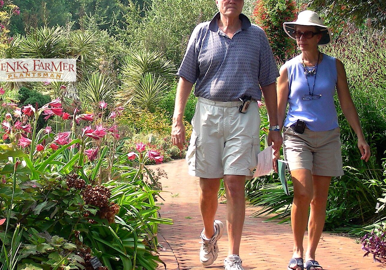 To public plantings…